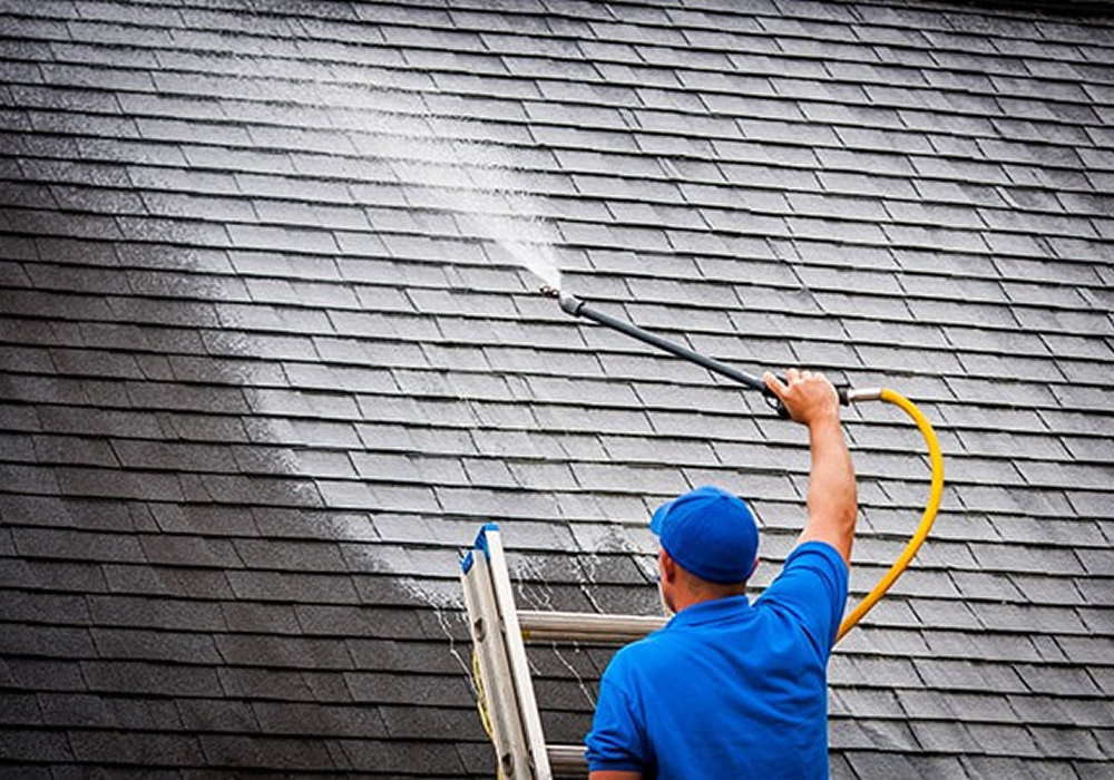img-roof-cleaning-moss-removal